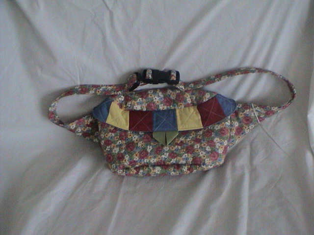 Fanny Packs
