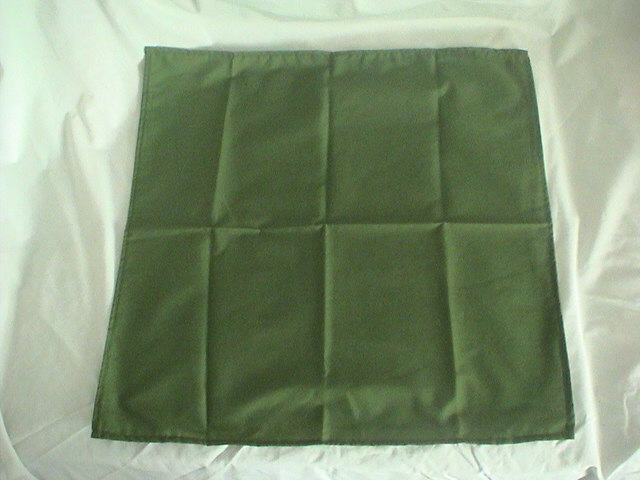  Aztec Green